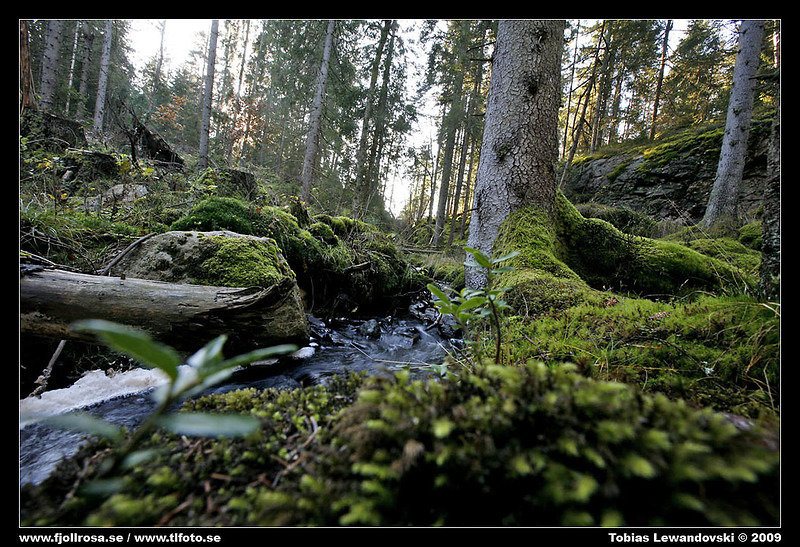 _MG_6568.jpg