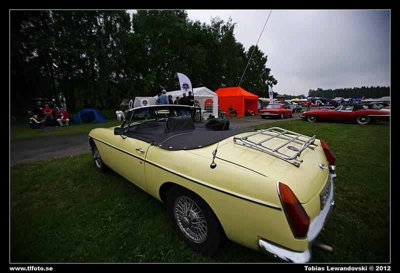 _MG_8538.jpg