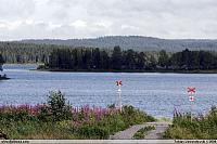 Morjärv