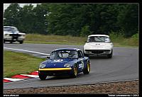 _MG_8528.jpg