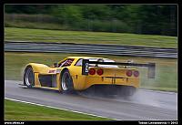 _L8D5027.jpg