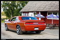 098A5946