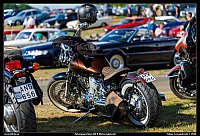098A2233